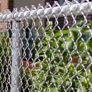 Photo of a galvanized chain link fence in Whatcom County, Washington