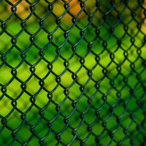 Photo of PVC-coated chain link fence in Whatcom County, Washington