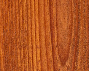 Fence Stain Contractor in Whatcom County Washington