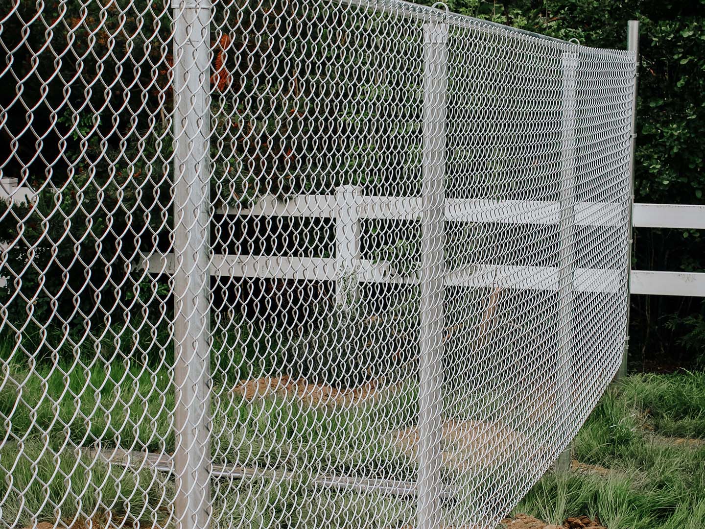 Northern Washington Chain Link Fence